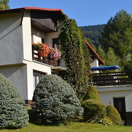 Apartman Braun Rokytnice nad Jizerou Rum bild