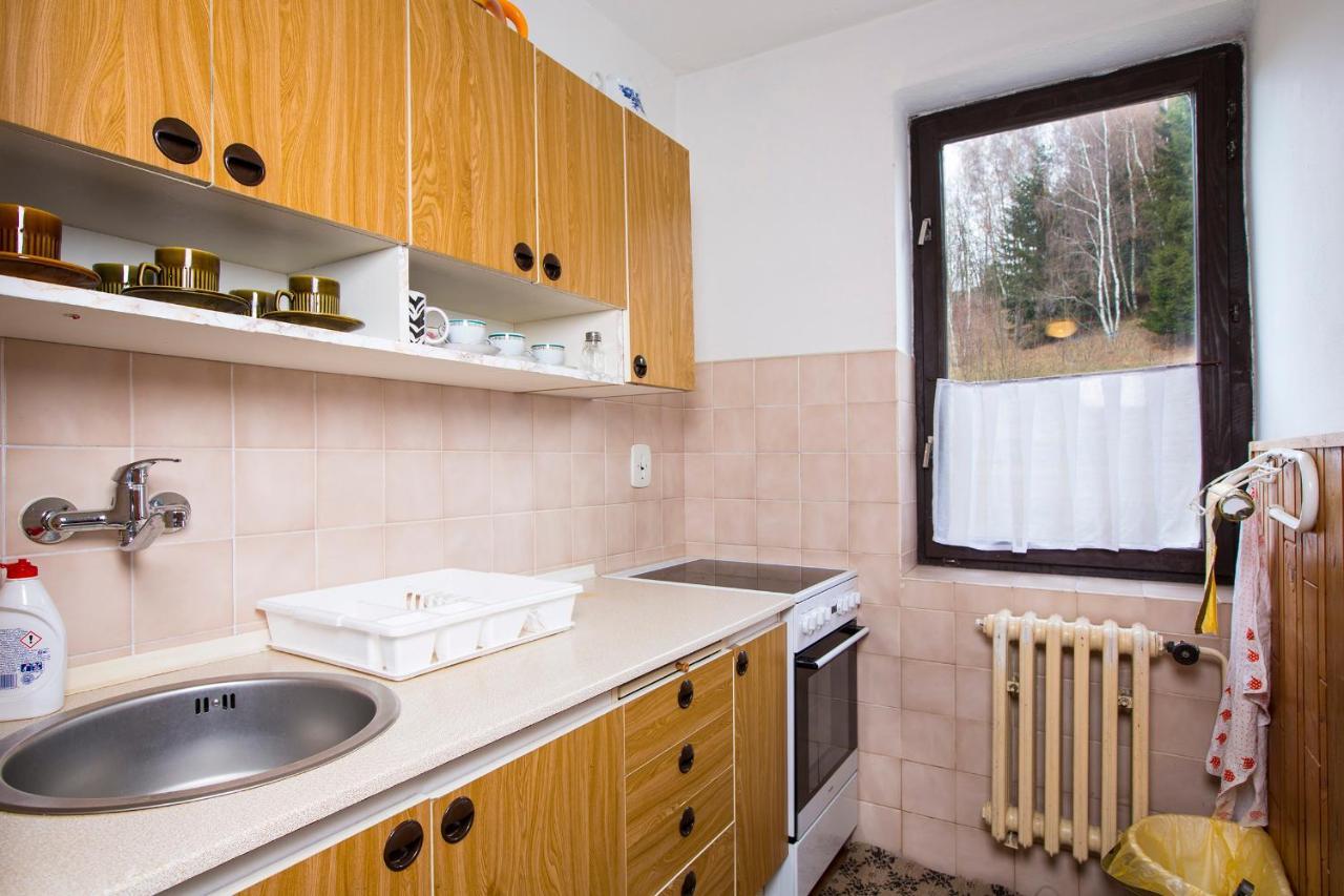 Apartman Braun Rokytnice nad Jizerou Exteriör bild